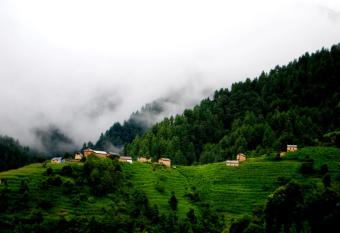 Mount Mahabharat Homestay has Balcony rooms