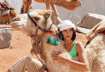 Moonshine camp has Balcony rooms