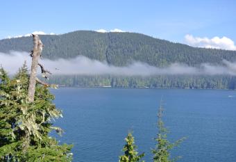 Bj  rn Holm allows 18 year olds to book a room