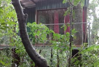 The Green Tree Lodge has Balcony rooms