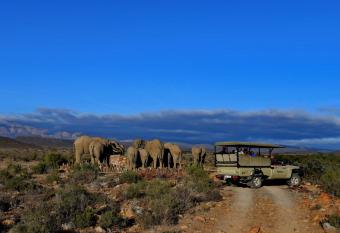 Sanbona Wildlife Reserve allows 18 year olds to book a room