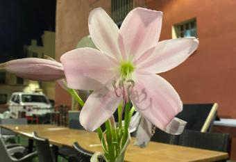 Restaurant & Rooms Cabrit allows 18 year olds to book a room