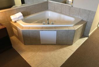 Allen Park Motor Lodge has Balcony rooms