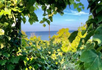 Hillside Apartments has Balcony rooms