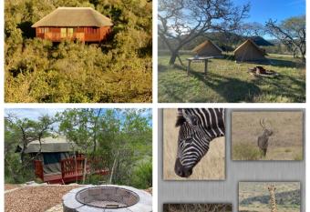 Horseshoe Game Reserve has Balcony rooms