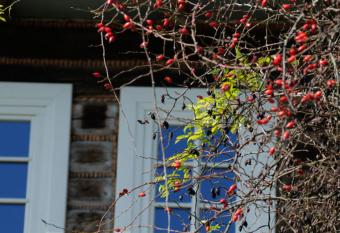 Kacza Chata - willa z jacuzzi has rooms with a private hot tub