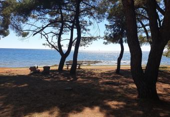 Family Bungalow Pineta has Balcony rooms