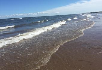 Seaside chalet,Aboiteau beach cottage rentals,cap pele allows 18 year olds to book a room