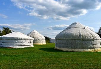 Bakonyi Camping has Balcony rooms