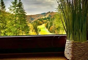 Apartamente de inchiriat- Garden Apart Predeal allows 18 year olds to book a room