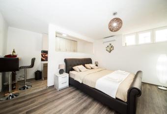 Studio apartman Centar has Smoking rooms