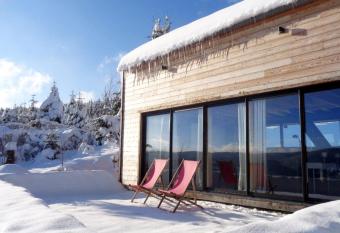 Laptitevosgienne VUE LAC    G  rardmer ! allows 18 year olds to book a room