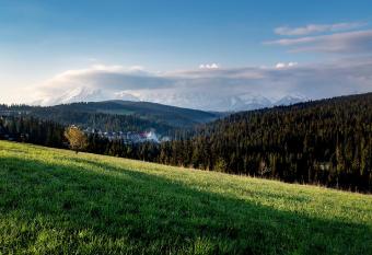 Hotel BUKOVINA has Balcony rooms