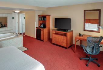 Hilton Garden Inn Chicago O'Hare Airport has rooms with a private hot tub