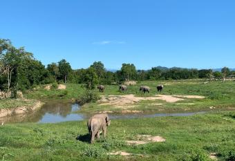 I love phants Lodge has Balcony rooms