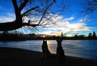 Columbine Inn has Balcony rooms