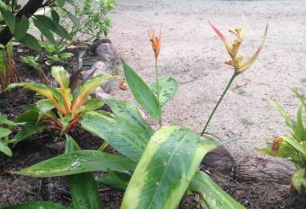 The Bottle Tree House has Balcony rooms