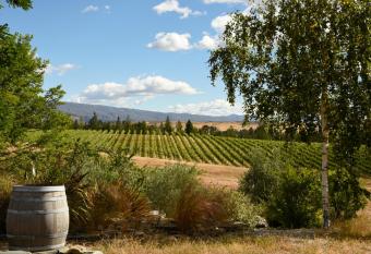 Grey Ridge Vineyard Experience allows 18 year olds to book a room