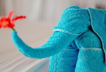 Jungle Heart Cabanas has Balcony rooms