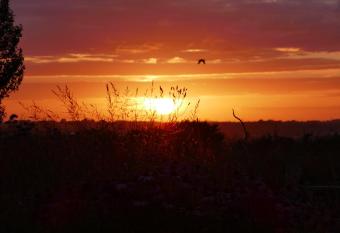 Hillside House has rooms with a private hot tub