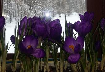 Hotel Residence Lago Laux has Balcony rooms