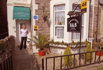 Camellia Lodge Guest House allows 18 year olds to book a room