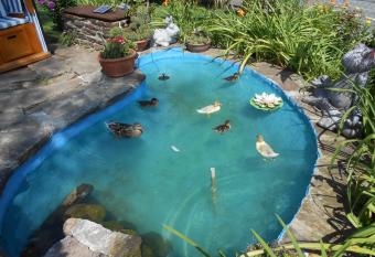 Pension Gierlinger has Balcony rooms