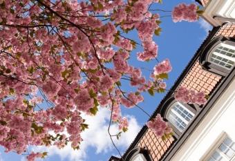 Uppsala City Hostel allows 18 year olds to book a room