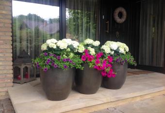 Haus Drossel has Balcony rooms