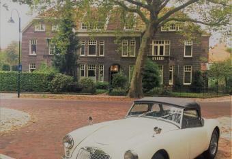 Boutiquehotel Sycamore - Protected City View - Free Parking allows 18 year olds to book a room