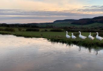 The Grainary Boutique Hotel allows 18 year olds to book a room