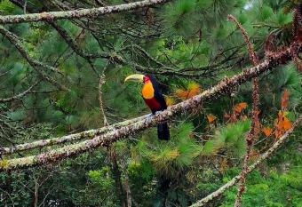 Casa Fazenda Inglesa Petr  polis RJ has Balcony rooms