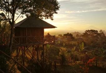 Bali Tree House Pelangi has Balcony rooms