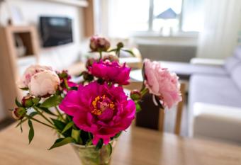 Apartman Breza has Balcony rooms