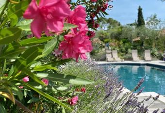 Villa Schindler has Balcony rooms