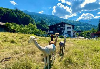 AlpenApart Montafon - Haus Engstler has Balcony rooms