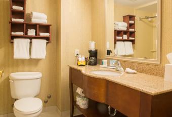 Hampton Inn by Hilton Toronto-Mississauga West has rooms with a private hot tub
