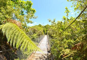 TePopo Gardens & Accommodation has Balcony rooms