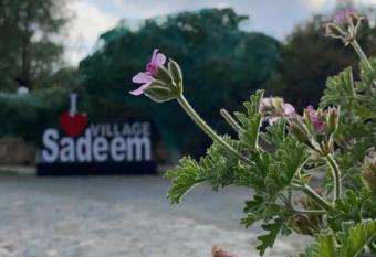 Sadeem Village & Chalet has Balcony rooms