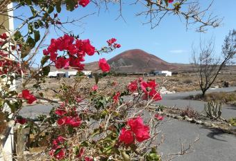 Casa Papi allows 18 year olds to book a room