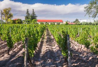 Club Tapiz allows 18 year olds to book a room