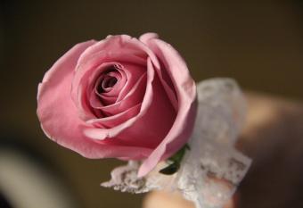 Apartment Leon has Smoking rooms