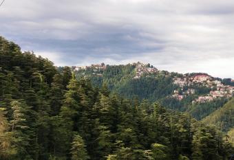 Neha Homestay has Balcony rooms