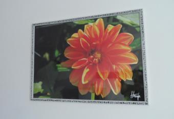 Dalija apartman allows 18 year olds to book a room