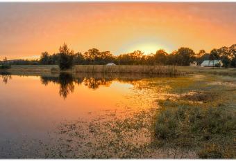 Madigan Wine Country Cottages has Balcony rooms