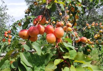 Casa Isabelle has rooms with a private hot tub
