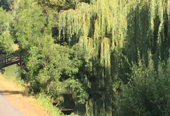 Relais de la Venise verte has Balcony rooms