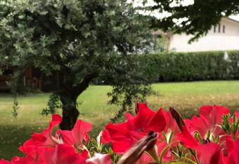 Gina & Jeto has Balcony rooms