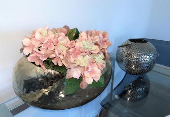 City-Apartment Hamburg allows 18 year olds to book a room