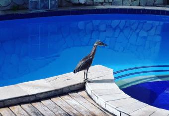 Hostel Recanto Olindense has Balcony rooms